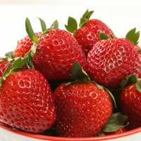 Mersin’de Ruhunuza Dokunacak Eşsiz Escort Bayan