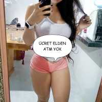 Yenişehir'in Yeni Eliti: Seksi ve Kontrollü Escort Hizmeti
